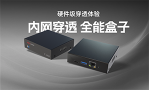 内网穿透盒子C-260