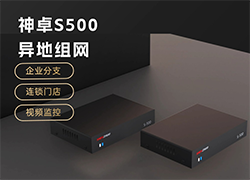 轻量组网设备S500